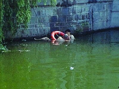 河 在线观看,探寻生命之源的壮丽画卷 第2张 河 在线观看,探寻生命之源的壮丽画卷 第2张